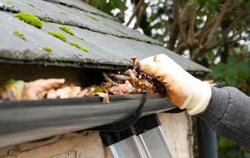 gutter cleaning Frogmore